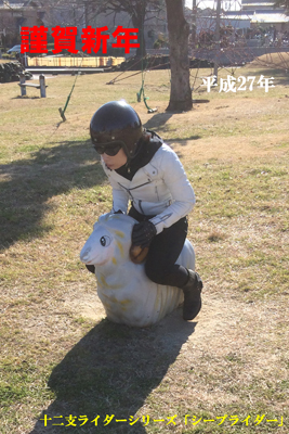 sheep-rider-mini.jpg